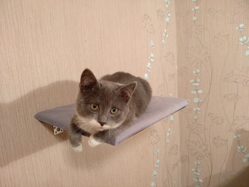 Cat Wall Shelves сat Shelf Diy Floating