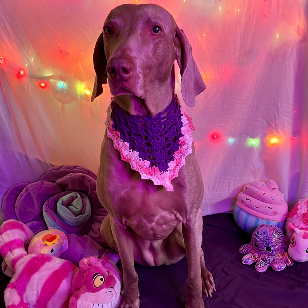 Mixed Berry Checkered Bandana - Etsy