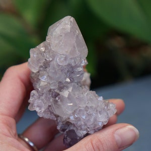 Spirit Quartz, Cactus Quartz Crystal Cluster