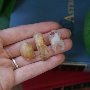 3pc Amphibole Phantom Quartz Crystal Parcel