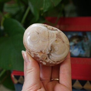 Ágata de cerezo en flor, ágata de flor de palmstone - Floreciendo en tu mejor yo