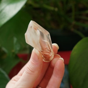 Amphibole Quartz, Angel Phantom Crystal