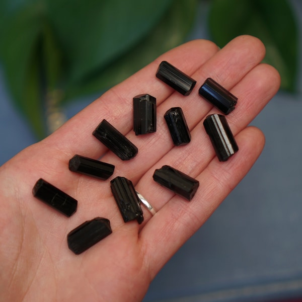 Black Tourmaline Crystal (XS) - Protection & Removing Negative Energy