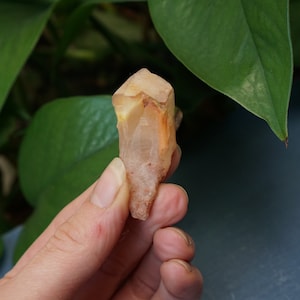 Amphibole Quarz, Engel Phantom Kristall