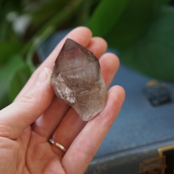 Hallelujah Junction Smoky Quartz Crystal, Partial Scepter Crystal * Self Collected