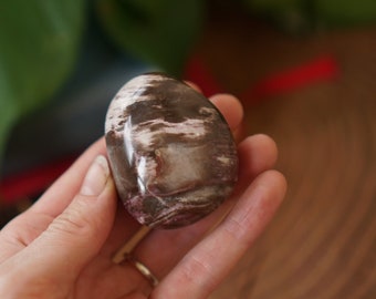 Petrified Wood Palmstone