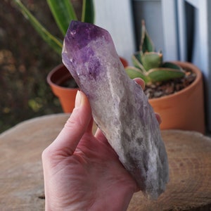 Amethyst Skeletal Root Crystal