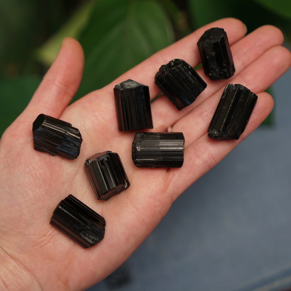 Black Tourmaline Crystal, Chunky (Small-Med) - Protection & Removing Negative Energy