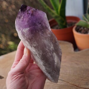 Amethyst Skeletal Root Crystal