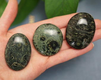 Kambaba Jasper Palmstone