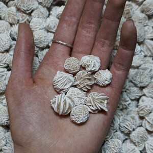 Small Desert Rose Selenite image 2