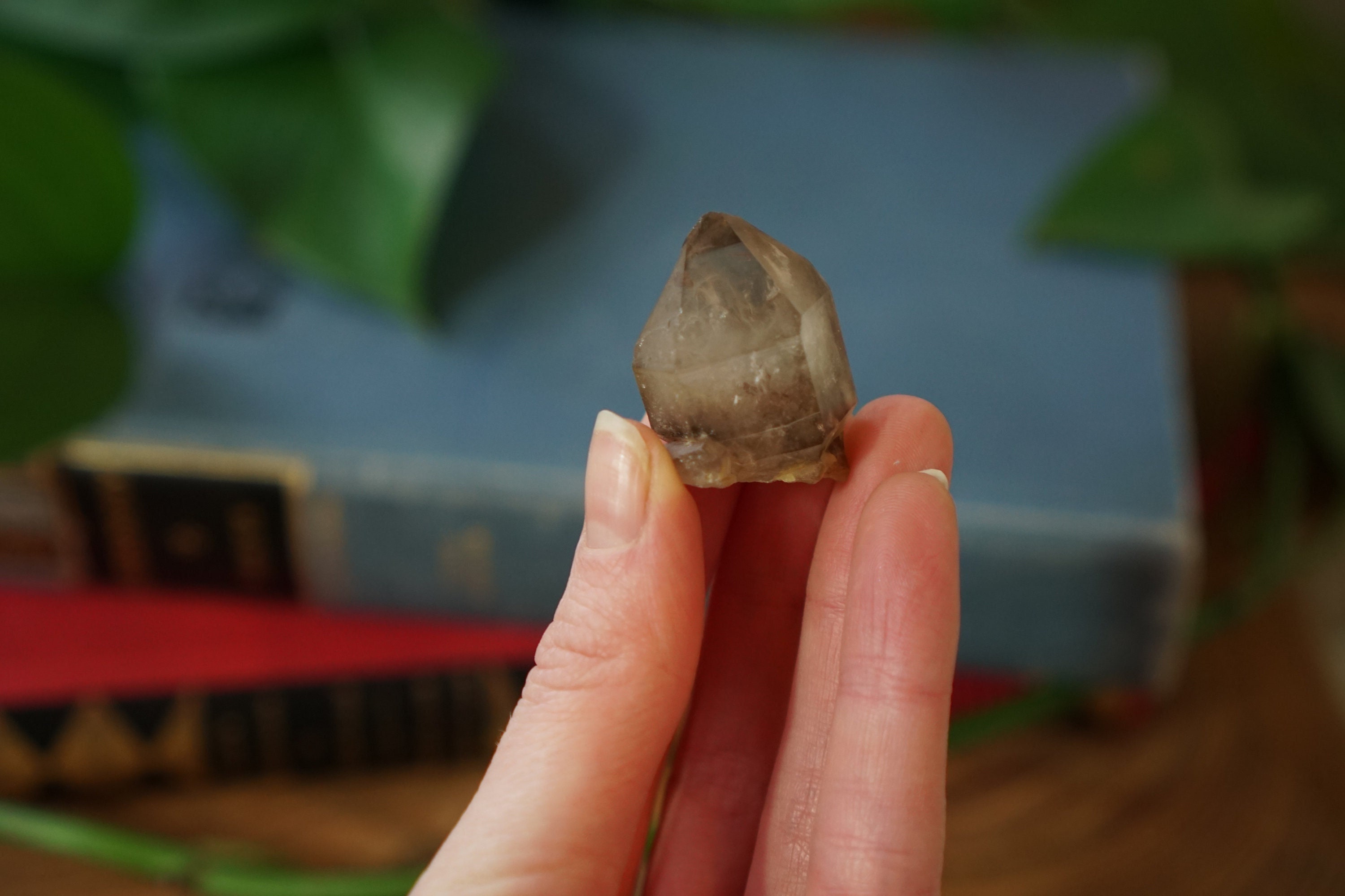 Hallelujah Junction Smoky Quartz Crystal * Self Collected