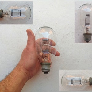 Puede incluir: Cuatro bombillas de vidrio transparente con una base de metal y una rejilla de cables en su interior. Las bombillas están en varias posiciones, incluyendo una que se sostiene en una mano.