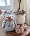 CROCHET PATTERN & VIDEO/ Woodland Ami Owl, Crochet Owl Pattern, Easy Crochet Decor, Fall Decor, Easy Amigurumi, Pdf, Halloween Crochet