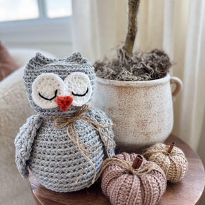 May include: A crocheted grey owl with white eyes, black eyelashes, and an orange beak sits next to two small crocheted pumpkins and a decorative plant. The pumpkins are in shades of beige and pink, and the owl has a twine bow around its neck. The items are on a wooden surface.