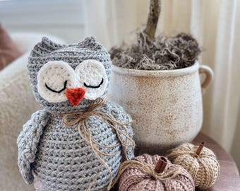 Puede incluir: Un búho gris tejido a ganchillo con ojos blancos, pestañas negras y un pico naranja se encuentra junto a dos pequeñas calabazas tejidas a ganchillo y una planta decorativa. Las calabazas son en tonos beige y rosa, y el búho tiene un lazo de cuerda alrededor del cuello.