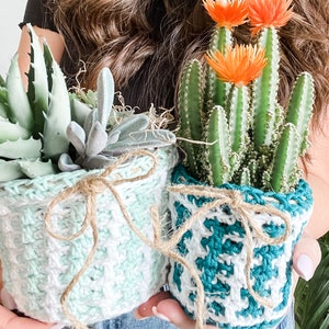 May include: Two potted plants in crocheted plant pots. The plant on the left is a green succulent in a light green and white crocheted pot. The plant on the right is a cactus with orange flowers in a teal and white crocheted pot.