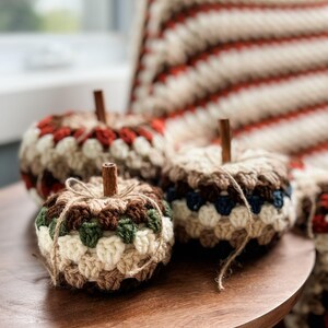 CROCHET PATTERN/ Fall For Granny Pumpkins, Crochet Pumpkin Pattern, Easy Crochet Pumpkins, Granny Stitch Crochet Pumpkins image 10