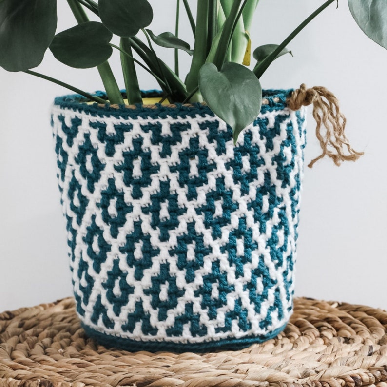 CROCHET PATTERN / Potted Paradise Mosaic Basket image 6