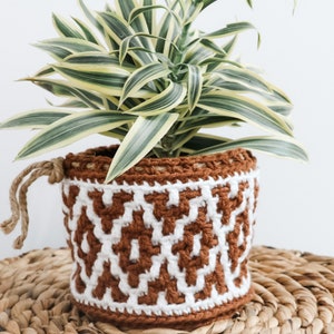 CROCHET PATTERN / Potted Paradise Mosaic Basket image 8