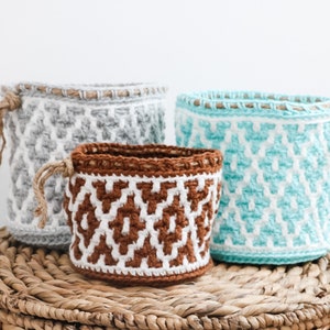 CROCHET PATTERN / Potted Paradise Mosaic Basket image 7