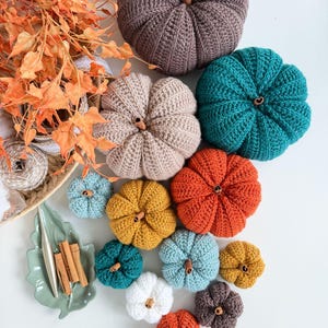 May include: A collection of crocheted pumpkins in various sizes and colors including brown, teal, beige, orange, yellow, light blue, white, and dark gray. Each pumpkin features a small cinnamon stick stem. A green leaf-shaped dish holds cinnamon sticks.