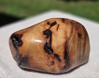 Earthformed Fragment EF-0003