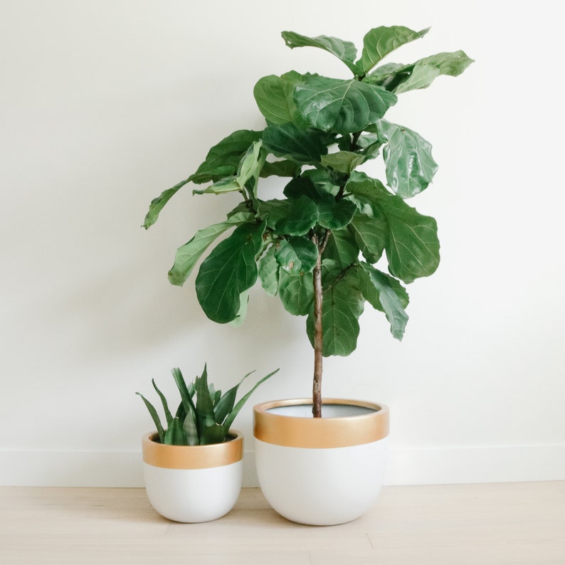 Indoor Outdoor Modern Lightweight Hand Painted Planters Large Planter Gold Pot Matte White Planter Minimalist Shape Plant Pot Outdoor Gardening Planters Pots Lifepharmafze Com