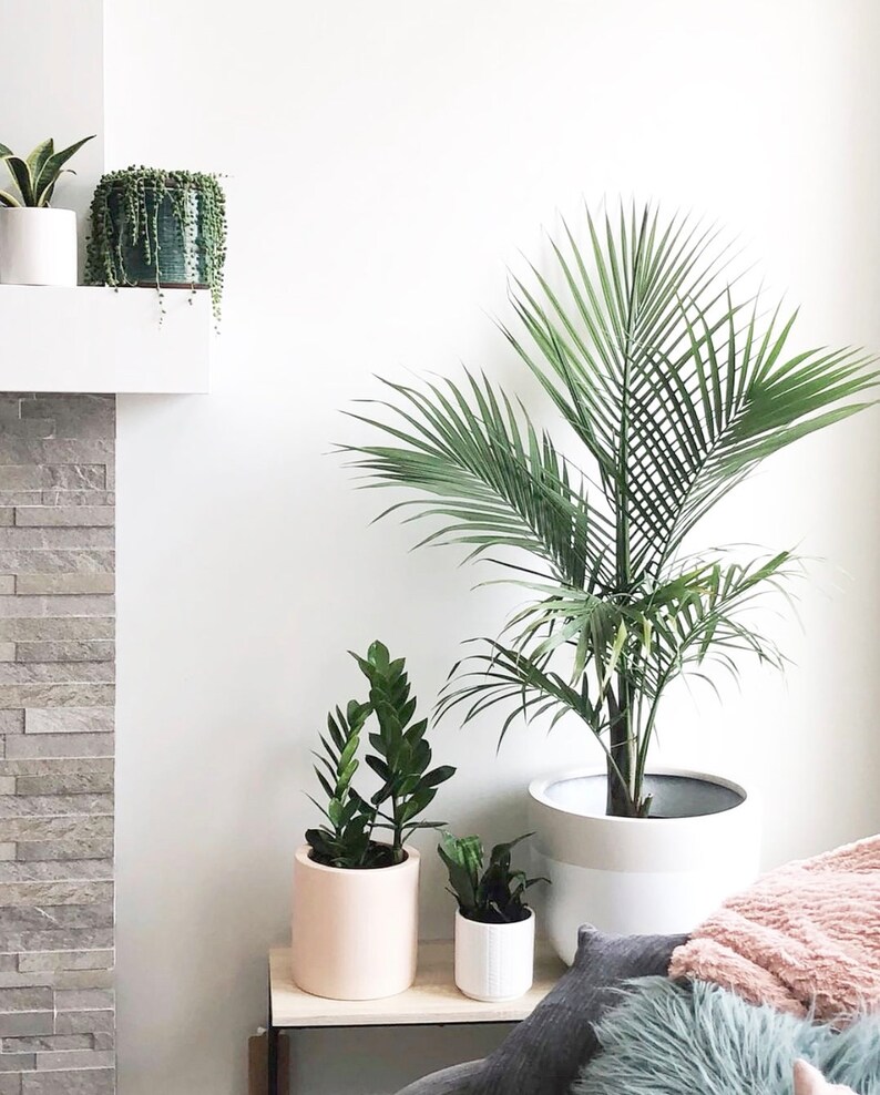 Indoor /& Outdoor Modern Lightweight Hand Painted Planters Minimalist Shape Large Planter Plant Pot Matte Grey Planter Pot