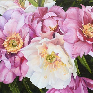 Peonies in Spring
