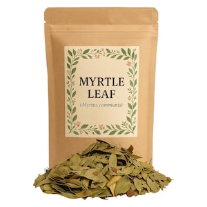 Myrtle Leaf | Myrtle Leaves | Myrtus Communis Premium Grade | Herbal