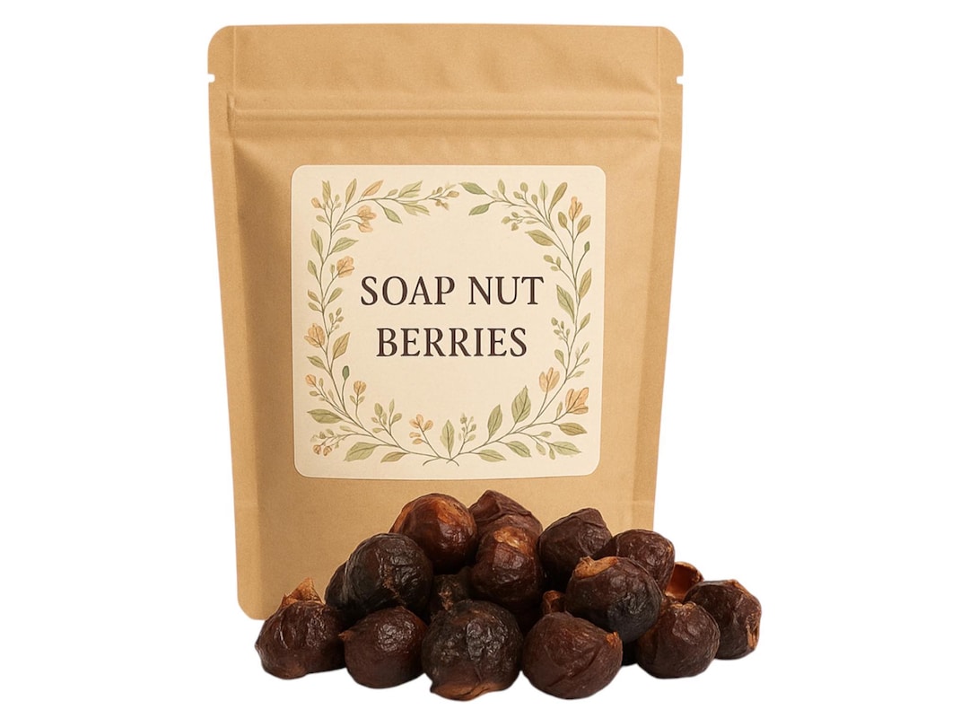 Soap Nuts | Soap Berries | Sapindus Saponaria | Natural Laundry ...