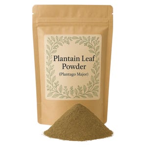Plantain Leaf Powder | Premium Grade | Herbal