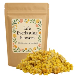 NOCE NERO D'AMERICA – Juglans Nigra - Foto 9