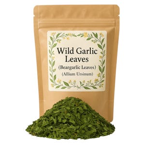 Bärlauch Blatt | Allium Ursinum Premium Grade | Pflanzlich