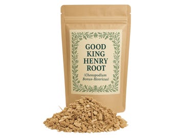 May include: A brown paper bag with a label that reads "Good King Henry Root (Chenopodium Bonus-Henricus)". The bag is filled with dried, light brown root pieces.