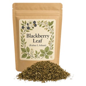 Brombeerblatt | Rubus fruticosus Premium Grade | Pflanzlich
