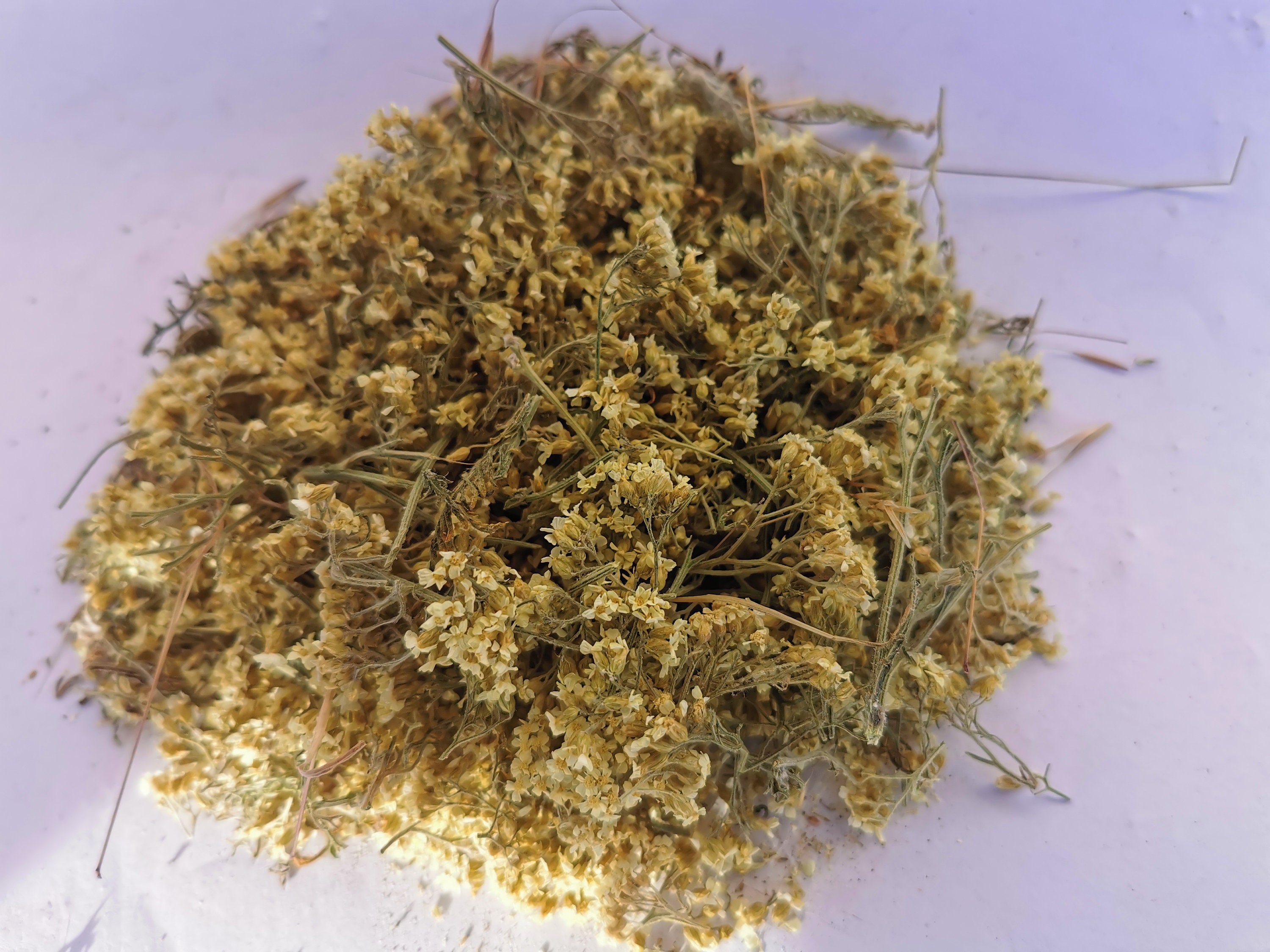 Dried Yarrow Flower Herb Tea Yarrow Organic and Natural Etsy