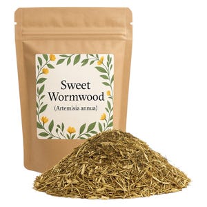 Artemisia Annua Herb | Sweet Wormwood Tea | Organic | | Sweet Annie Tea ...