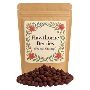 Hawthorn Berry | Wildcrafted  Organic | Crataegus monogyna Premium Grade | Herbal