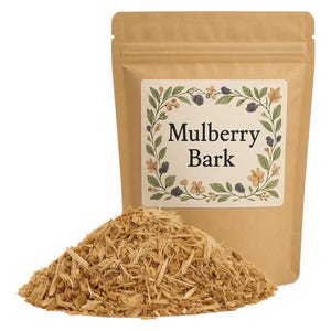 Mulberry Bark | | Herb | Botanicals Premium Grade | Herbal