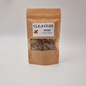Cleavers Herb Galium Aparine - Etsy