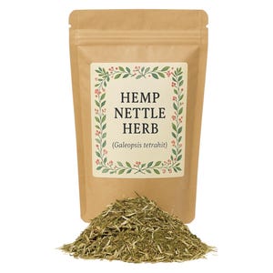 Hanf Nesselkraut |  Galeopsis L. - Galeopsis Tetrahit Premium Grade | Pflanzlich