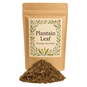 Plantain Leaf | Plantago Lancoelata | Tea | Leaves |  Natural | Herbs | Botanical | Natural Premium Grade | Herbal