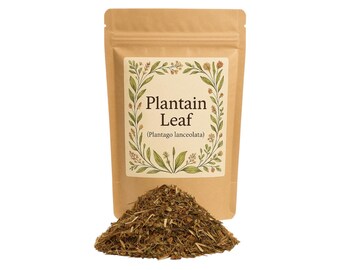 Plantain Leaf | Plantago Lancoelata | Tea | Leaves |  Natural | Herbs | Botanical | Natural Premium Grade | Herbal