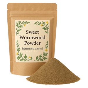 Süßes Wermutpulver | Artemisia annua |  Süße Annie Puder | Qinghaosu Herb Premium Grade | Pflanzlich