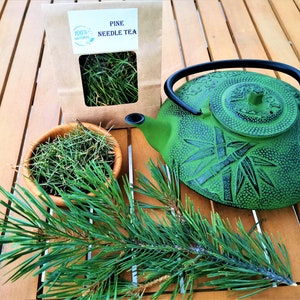 White Pine Needle Tea - Fresh Pine Needles For tea - Organic Pine Needles - Pine Needles - Pine Needle Pwder