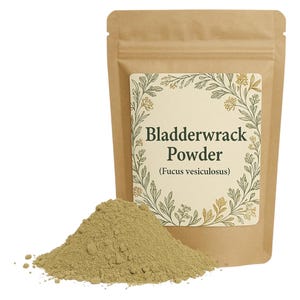 Bladderwrack Powder or Cuts | Fucus vesiculosus Premium Grade | Herbal