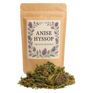 Anise Hyssop | Anise Hyssop | Anise Hyssop Herb | Anise Hyssop Tea |  Licorice Mint | Agastache foeniculum