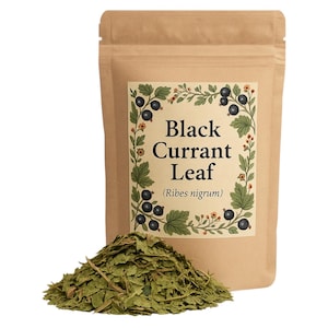 Black Currant Tea | Black Currant Leaf | Ribes nigrum Premium Grade | Herbal